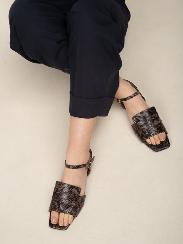 אייריס שטוח 1 אייריס שטוח 1