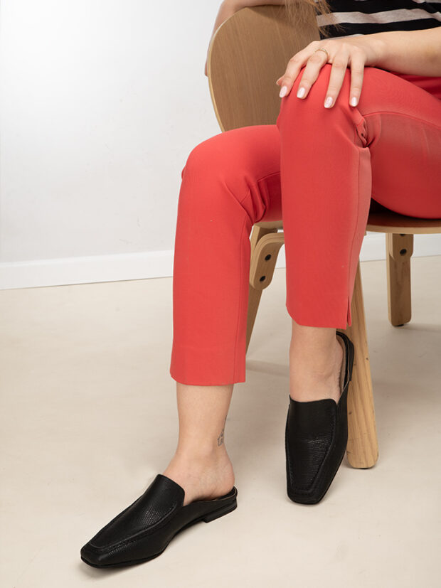 רומי שחור_1 רומי שחור_1