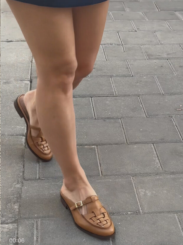 סוואנה קאמל סוואנה קאמל