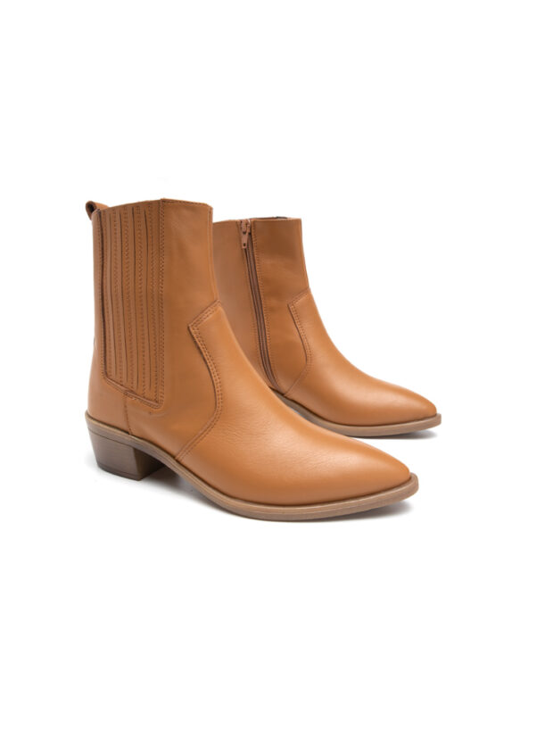 דונה_קאמל (1)_1